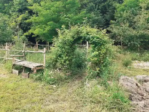 Banc et arche en églantier. Photographie présentant une arche, faite d'églantiers (rosier sauvage). Cette arche est au centre de l'image. A gauche, on distingue un banc en bois, se prolongeant par une cloture. Au premier plan, devant ces deux aménagement, il y a de l'herbe. Derrière, il y a une forêt.