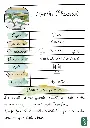 Menthe Chocolat.webp