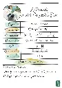 Artichaut Imperial Star.webp