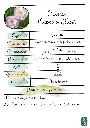 Cosmos.webp