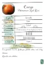 Potimarron Red Kuri