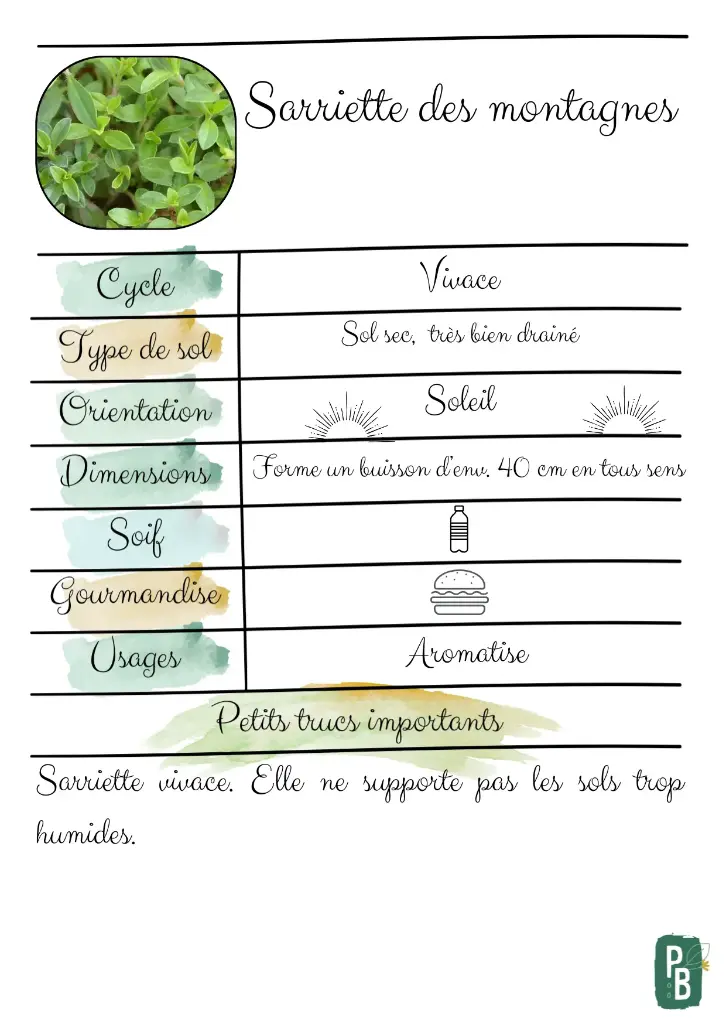 Sarriette des montagnes