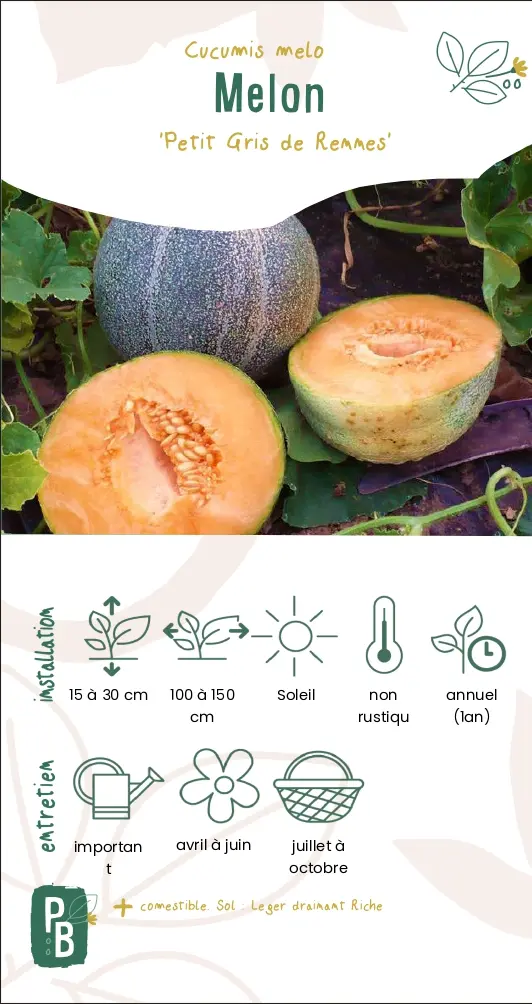 Melon