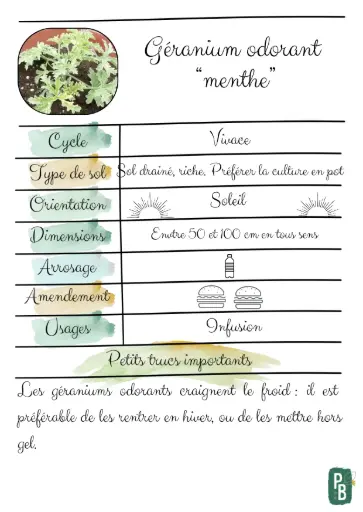 Géranium Odorant