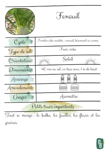 Fenouil