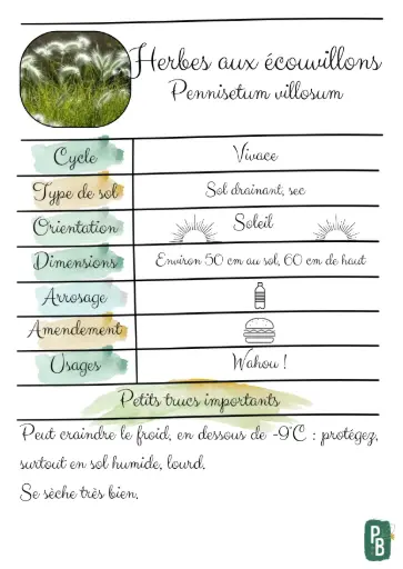 Herbes aux écouvillons